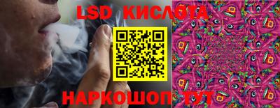 ГАЛЛЮЦИНОГЕННЫЕ ГРИБЫ Кингисепп