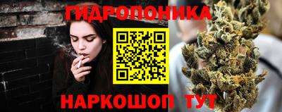 ГАЛЛЮЦИНОГЕННЫЕ ГРИБЫ Кингисепп