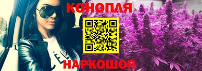 ГАЛЛЮЦИНОГЕННЫЕ ГРИБЫ Кингисепп